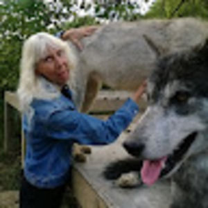 Meet your Posher, Bev